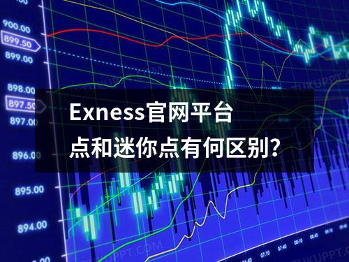 Exness官网平台点和迷你点有何区别？