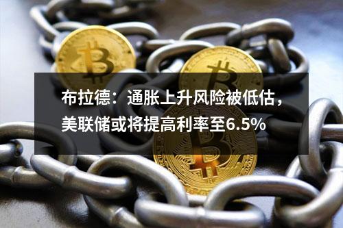 布拉德：通胀上升风险被低估，美联储或将提高利率至6.5%