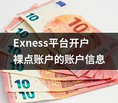 Exness平台开户裸点账户的账户信息