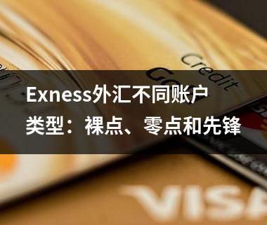 Exness外汇不同账户类型：裸点、零点和先锋