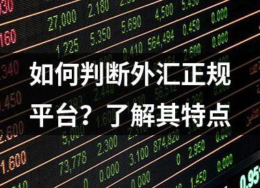 如何判断外汇正规平台？了解其特点