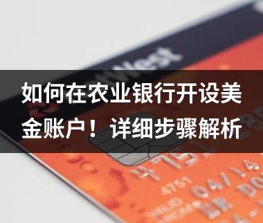 如何在农业银行开设美金账户！详细步骤解析