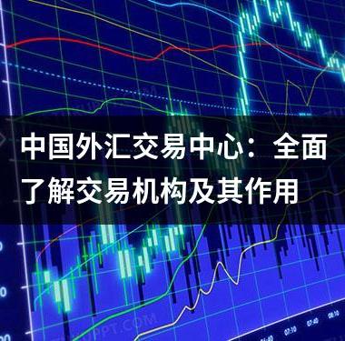 中国外汇交易中心：全面了解交易机构及其作用