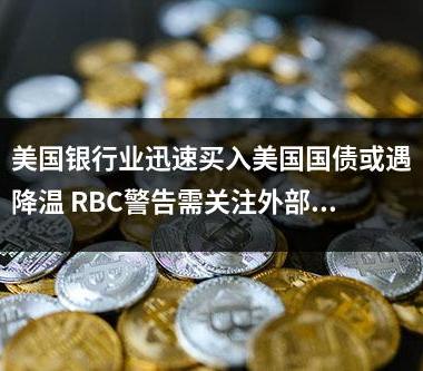 美国银行业迅速买入美国国债或遇降温 RBC警告需关注外部因素