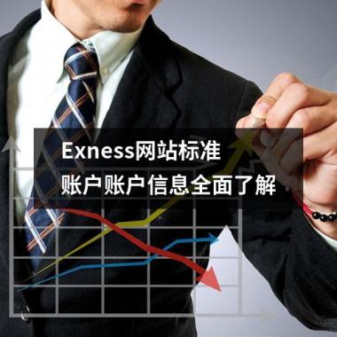 Exness网站标准账户账户信息全面了解