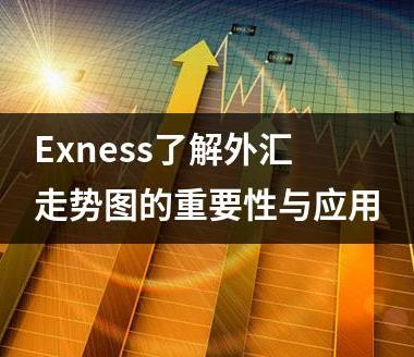 Exness了解外汇走势图的重要性与应用